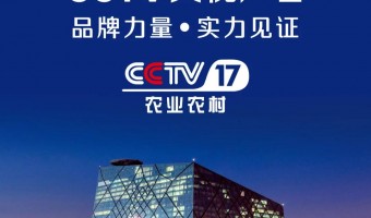 新聞資訊-英尼斯特-【央視見(jiàn)證·品牌力量】英尼斯特強(qiáng)勢(shì)登陸央視！